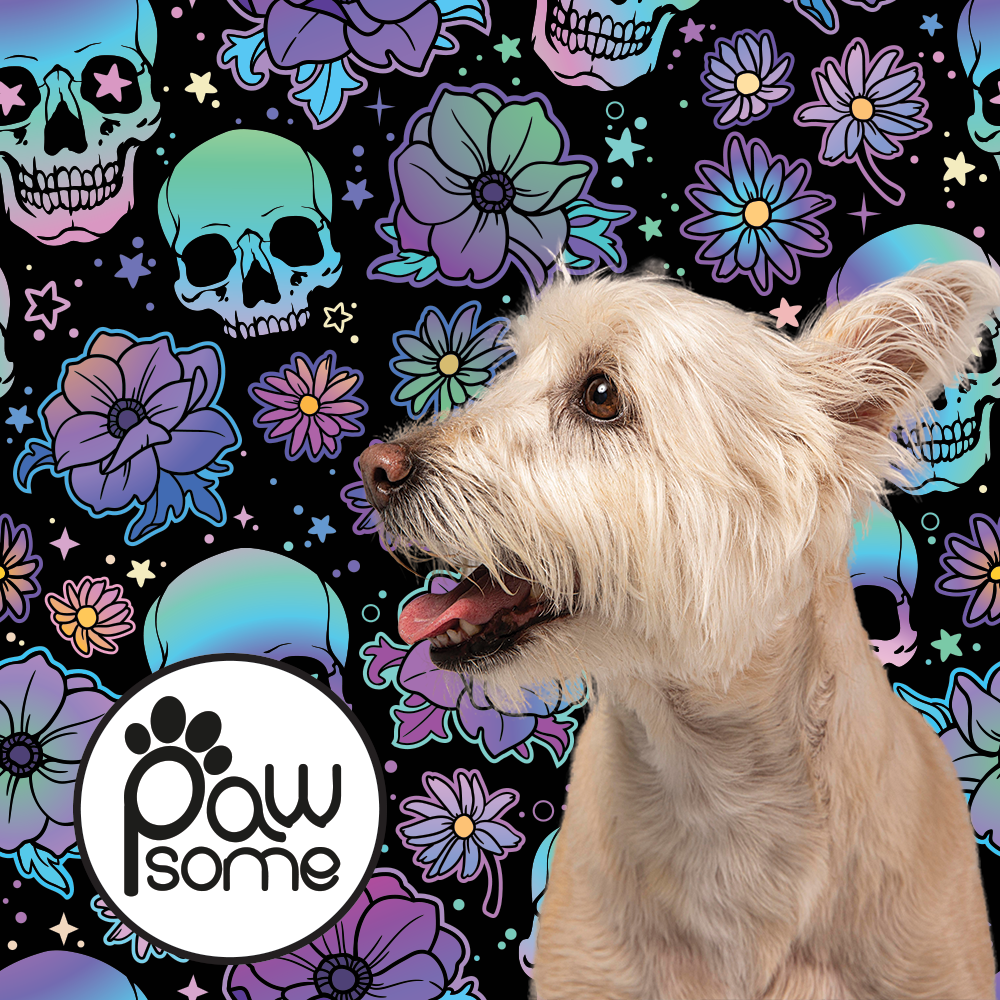 Skull Fantastic Dog Leash - Image 2