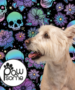 Alternative view of Skull Fantastic Dog Collar