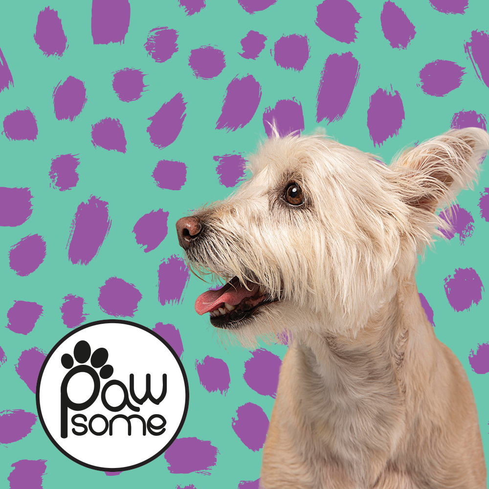 Pawsome - Tiffany Polka Leash - Image 3