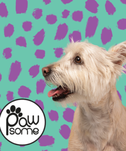 Alternative view of Pawsome - Tiffany Polka Dog Vest Style Harness