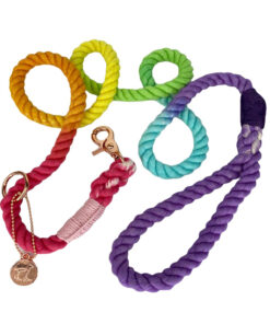 Unicorn Love Ombre Rope Leash 5ft