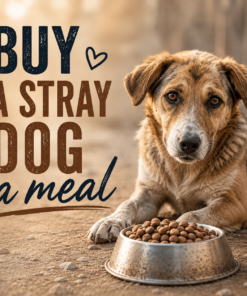Buy a Meal for Stray Dogs