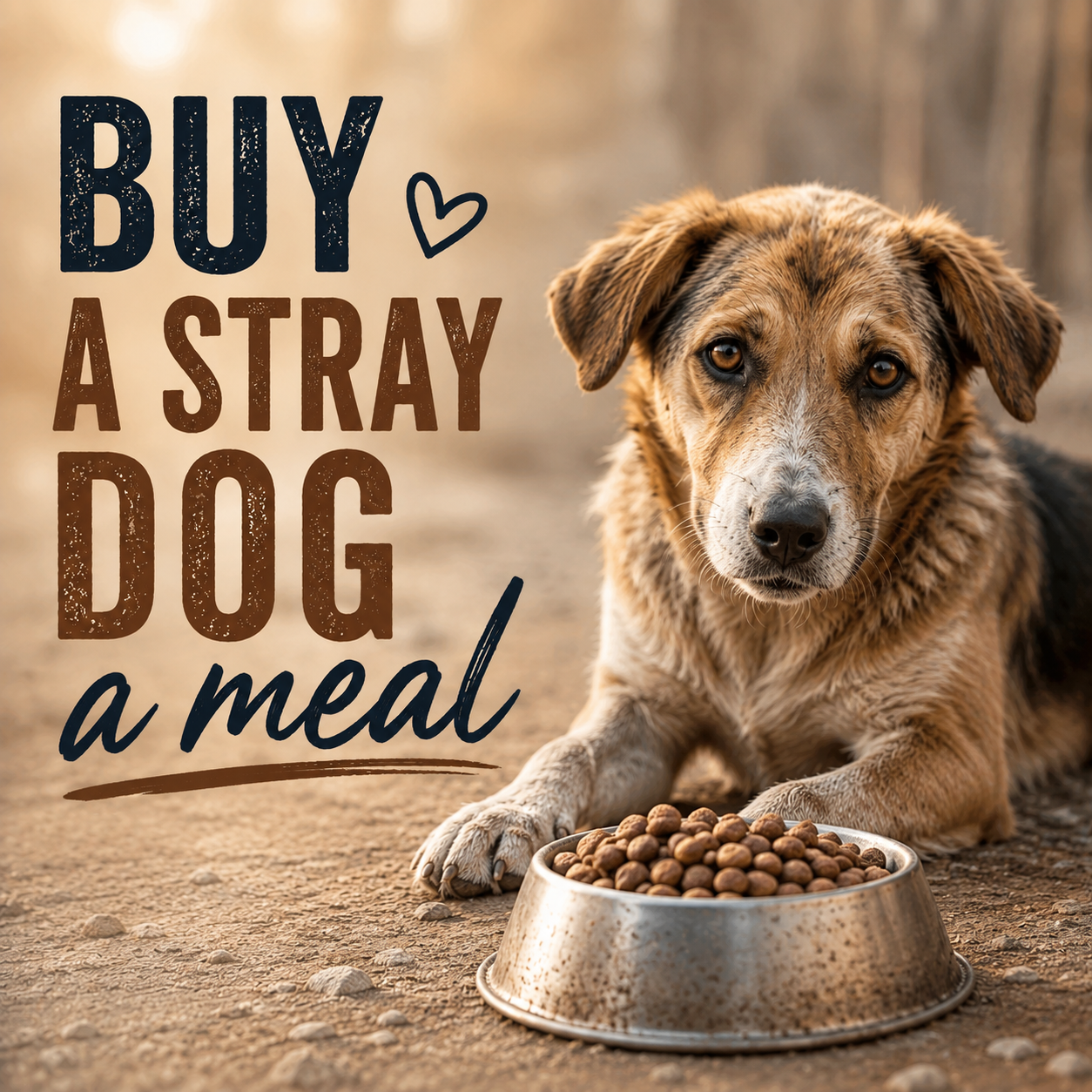 Buy a Meal for Stray Dogs
