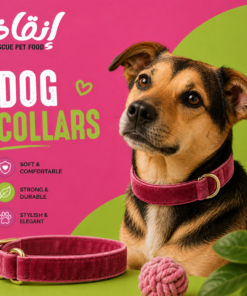 Rescue Dog Collar