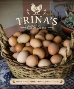 Fresh Organic Chicken Eggs x 30pcs
